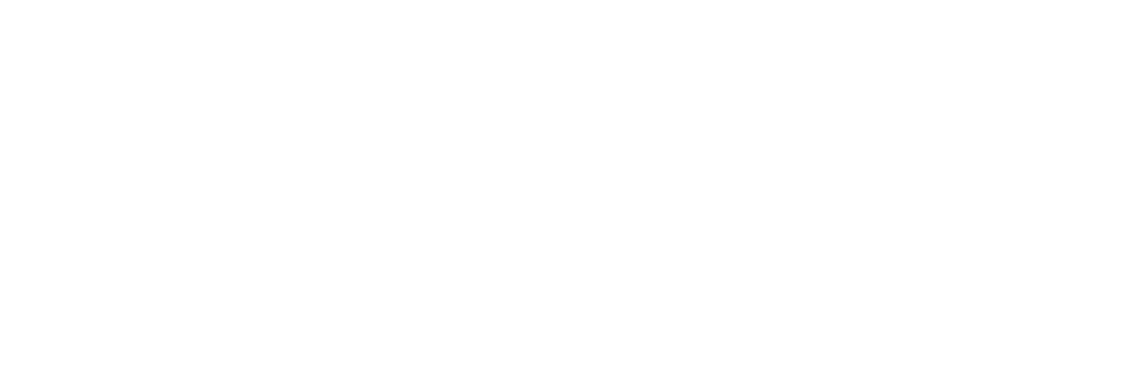datalog fondo transparente